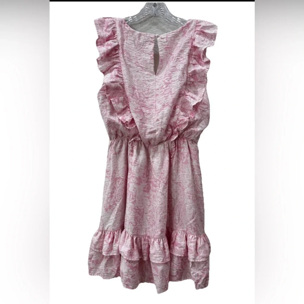Aqua Light Pink Ruffle Mini Dress - Picture 3 of 5